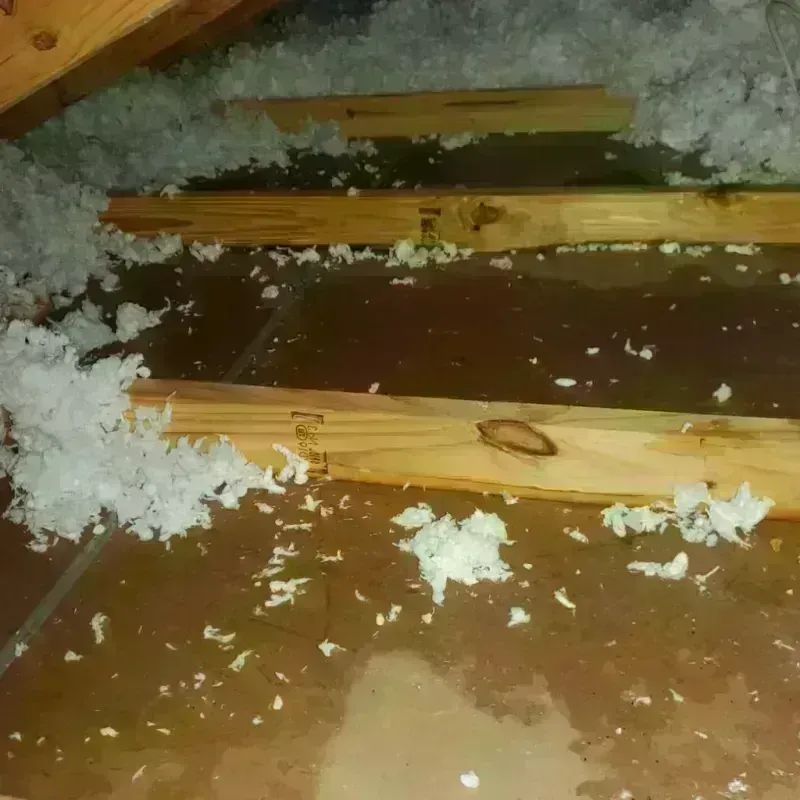 Attic Water Damage in Mansfield, AR