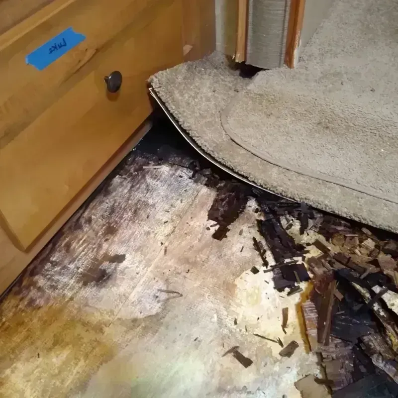 Wood Floor Water Damage in Mansfield, AR